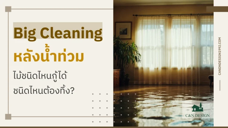 Big Cleaning หลังน้ำท่วม