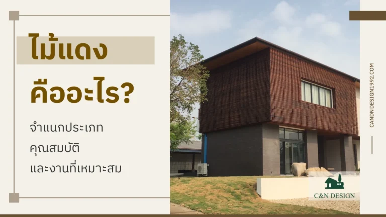 ไม้แดง คืออะไร