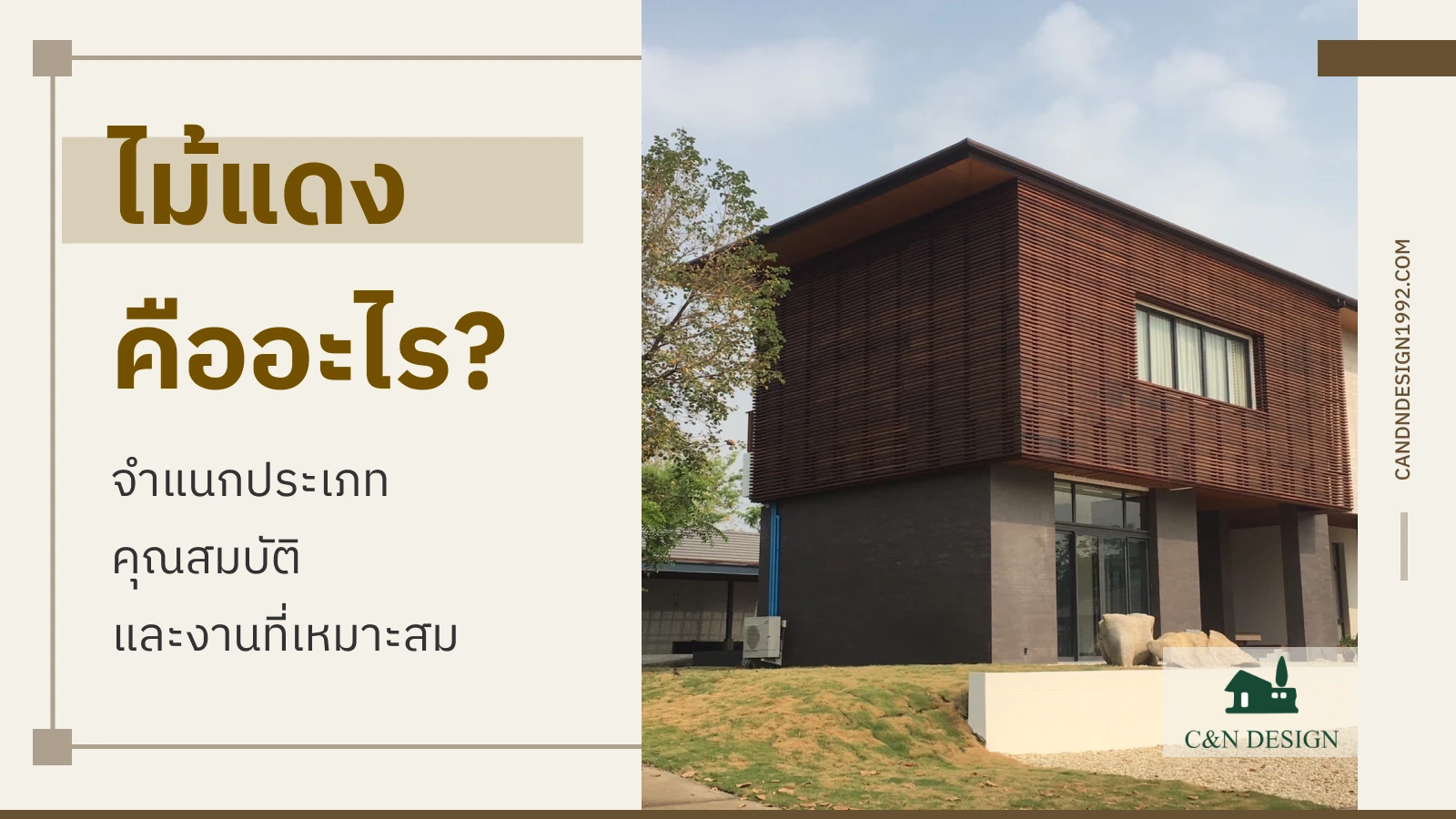 ไม้แดง คืออะไร