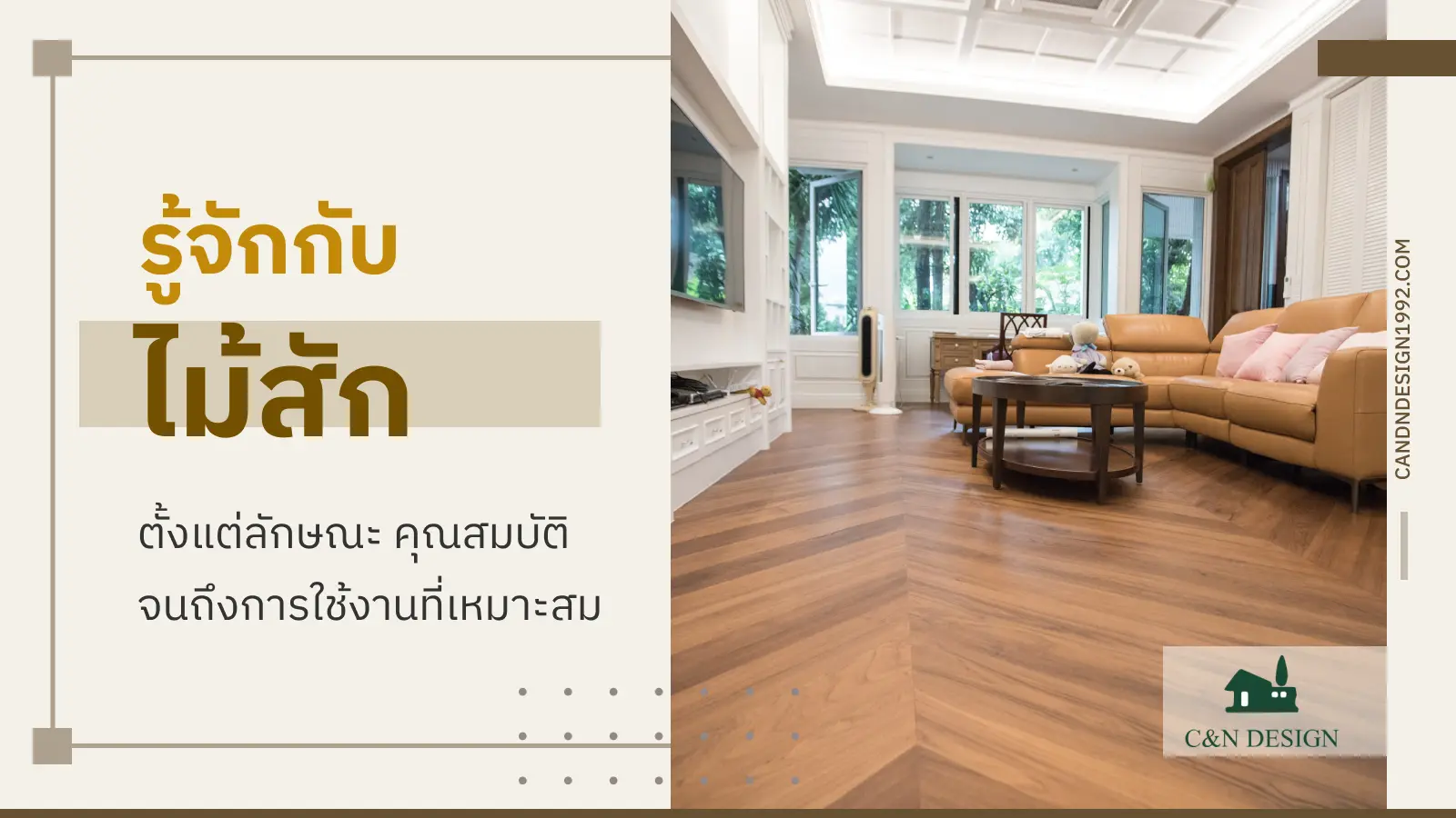 ไม้สัก 1
